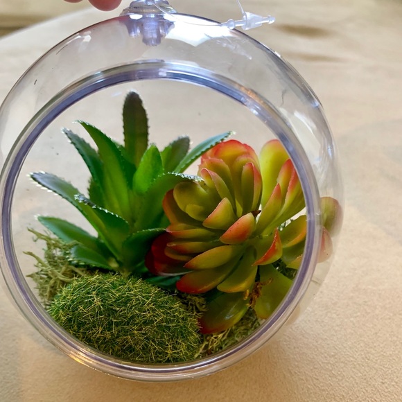 Ikea S Miniature Greenhouse Lets Anyone Create Their Own Indoor Garden